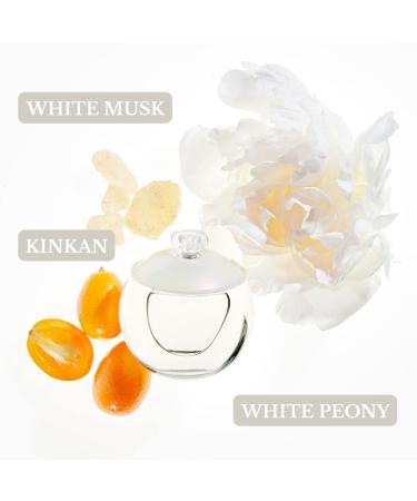 Cacharel NOA Gift Set - 3 Piece Collection - Buy Online on GoSupps.com