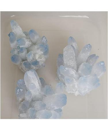 Blue Ghost Phantom Quartz Crystal Cluster Specimen kaixun (Size : 401-500g) - Buy Online on GoSupps.com