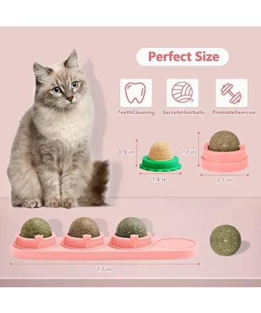 Buy Starroad-Tim Catmint Wallball for Cats | Natural Teeth Cleaning & Eating Toy - International Shipping Available - Buy Online on GoSupps.com