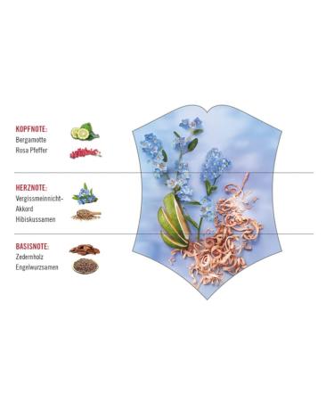 Victorinox Swiss Army Forget Me Not EDT Spray Women 3.4 oz - Buy Online on GoSupps.com