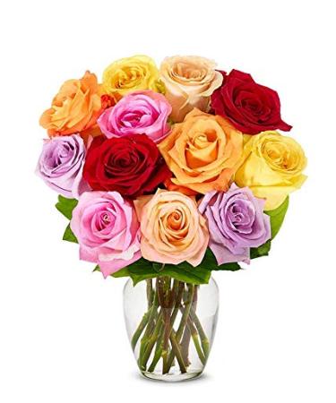 From You Flowers -- One Dozen Rainbow Roses with Free Vase (Fresh Flowers)