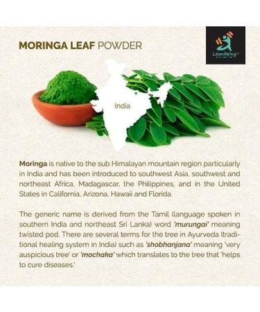 Green Velly Organic Moringa (Olifera) Leaf Powder- Powerful Vitamins & Antioxidants (200 Gm) - Buy Online on GoSupps.com