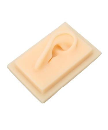 Natural Size Silicone Ear Model - Left & Right Human Ear for Teaching & Presentation Tools - Buy Online on GoSupps.com