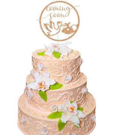 Coming Soon Cake Topper Stork & Baby Silhouette Cake Decor for Baby Shower Party Decorations Gender Reveal Party Supplies Rose Gold - Buy Online on GoSupps.com