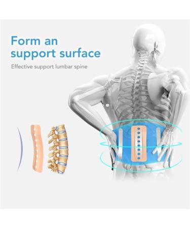 Tylxayoxa Lumbar Support Belt for Back Pain | Adjustable & Reinforced Spring Design | Back Support for Men & Women | Gray (Size M) - Shop Now! - Buy Online on GoSupps.com