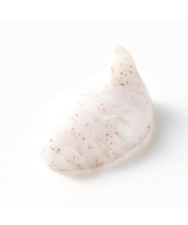 Exfoliating Face Wash for Women 2 Pack - Mild Face Soap with Peach Kernel - Gentle Face Cleanser for All Skin Types - Deep Cleansing & Moisturizing - Fragrance-Free Facewash for Radiant Skin 2.65 Ounce (Pack of 2) - Buy Online on GoSupps.com