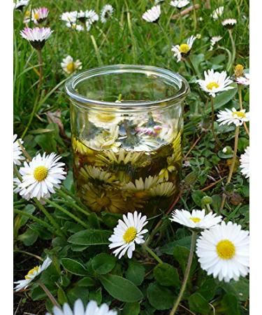 Buy Organic Daisy Oil 60ml - 100% Pure Essential Oil in Glass Bottle - Fresh Flowers Manelya - Imported from France - Buy Online on GoSupps.com