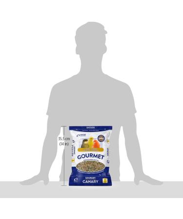 Hagen B2380 Canary Gourmet Mix 1kg 2.2-Pound - Buy Online on GoSupps.com