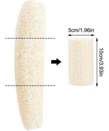 4 Count Loofah Exfoliating Body Scrubber - Natural Egyptian Shower Sponge for Women & Men | Perfect for Clean Skin Care & Spa Bath - Buy Online on GoSupps.com
