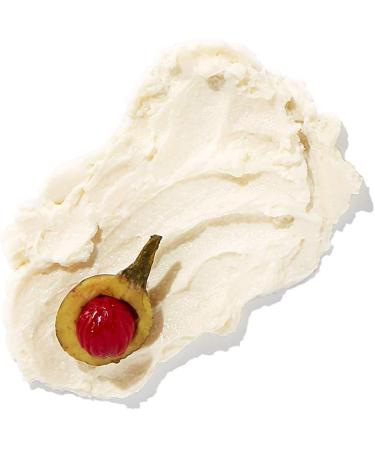 NATURA - Ekos Ucuuba Restorative Body Butter - Intense Repair and Hydration for up to 48 Hours - For Dry Dehydrated Skin - Quickly Absorbed - 100% Vegan - Cruelty Free - 200g - Buy Online on GoSupps.com