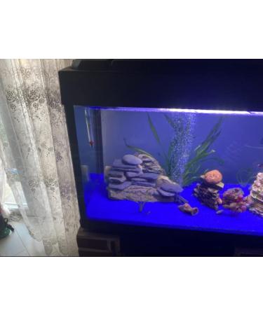 Dubaust Saq24 Aquarium Silicone 310ml - Best Black Adhesive for Freshwater & Saltwater Aquariums | Perfect for Terrarium Glass Constructions - Buy Online on GoSupps.com