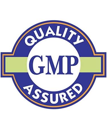 Now Glucosamine & Chondroitin with MSM 300 Capsules - Joint Health Supplement - Buy Online on GoSupps.com