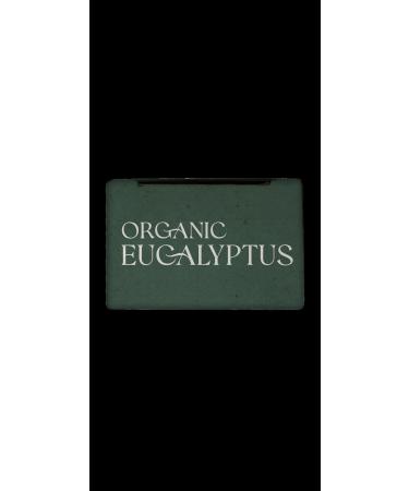 Aura Cacia Organic Eucalyptus Essential Oil 0.25 Fz - Buy Online on GoSupps.com
