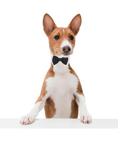 Formal Pets Bowtie Dog Cat Pets Adjustable Bow Tie and Collar Cats Puppy Grooming Ties Party Accessories Adjustable Pets Dog Cat Bow Tie Pet Costume Necktie Collar for Medium Large Boy Dog L (Pack of 1) - Buy Online on GoSupps.com