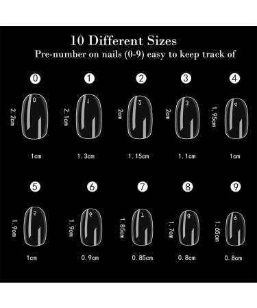 Noverlife 1200PCS Round Shape False Nails | 10 Sizes Full Cover Short Oval Fake Nails | Artificial Acrylic Nail Tips for Manicure Gel Polish Nails - Clear - Buy Online on GoSupps.com