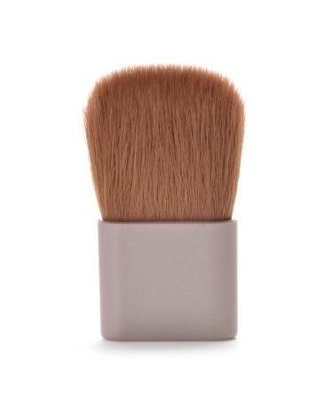 CANMAKE Glow Fleur Cheeks 02 Apricot Fleur - Natural Radiant Blush - Buy Online on GoSupps.com
