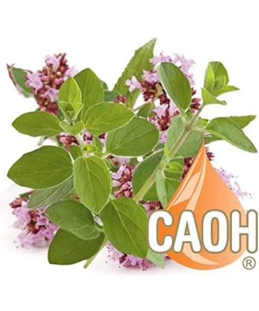 CALIFORNIA ACADEMY OF HEALTH Pure Organic Oregano Oil 2 oz Non GMO from CAOH - Buy Online on GoSupps.com