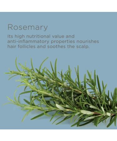 Hairitage Perfect Dose Balancing Conditioner - Rosemary Oil Jojoba & Chamomile for Dry Oily & Sensitive Scalp - Hydrates & Soothes Hair - 13 fl oz - Buy Online on GoSupps.com