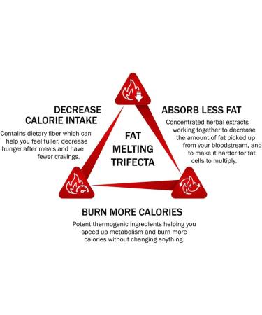 360 Meta Burn Extreme - Fast-Acting Weight Loss Pills for Women and Men - 120 High Strength Fat Burner Diet Pills with Natural Ingredients for Hunger Reduction - Internal Youth - Buy Online on GoSupps.com