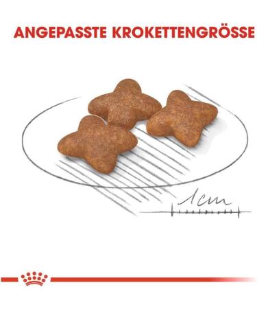 Royal Canin Mini Adult | 800 g | Dry food for Small Adult Dogs | Can be used for Optimal intake for Small Breeds of Dogs | with EPA & DHA - Buy Online on GoSupps.com