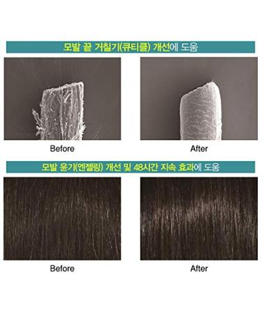 Natural Hair Growth Treatment - 200ml After Shampooing Scalp Care for Hair Loss & Thinning - Buy Online on GoSupps.com