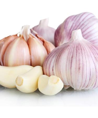 100% Pure Garlic Powder - Natural Healthy Spice for Smoothies, Cookies & Beverages - Non-GMO, No Fillers/Additives - 100g/3.25oz - Buy Online on GoSupps.com