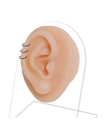 Soft Silicone Right Ear Model with Acrylic Stand - Ideal for Suture Practice and Jewelry Display - Buy Online on GoSupps.com