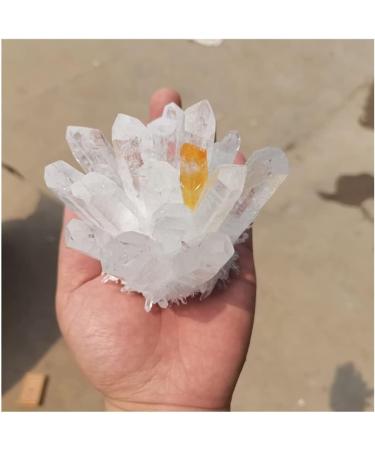 Crystal Rough Natural Crystal Rough Natural White Transparent Crystal Cluster Stone ore Specimen demagnetization Stone Purification Ment Stone decoratio (Size : 600-700g) - Buy Online on GoSupps.com