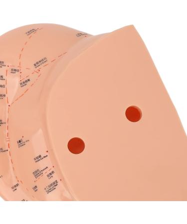 Verdant Touch Ear Acupuncture Points Model - 40cm Professional PVC Ear Zone Massage Tool for Accurate Acupuncture - Buy Online on GoSupps.com