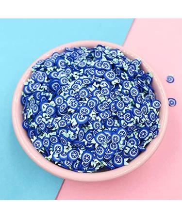 NIANTU108 50g 5mm Blueberry Slices Polymer Hot Clay Sprinkles for Crafts Nail Art Decoration DIY Fake Fruits Slimes Filling Accessories Gift (Color : Blueberry) - Buy Online on GoSupps.com