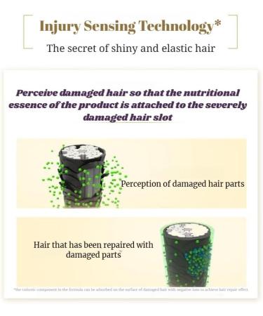 TSUBAKI Premium Volume & Repair Shampoo and Conditioner Set - Soins Capillaires Japonais 450ml - Buy Online on GoSupps.com