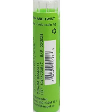 Plantago Major 30CH Homeopathy Medicine Schmidt-Nagel Canada (Homeodel) 90 pellets/granules - Buy Online on GoSupps.com