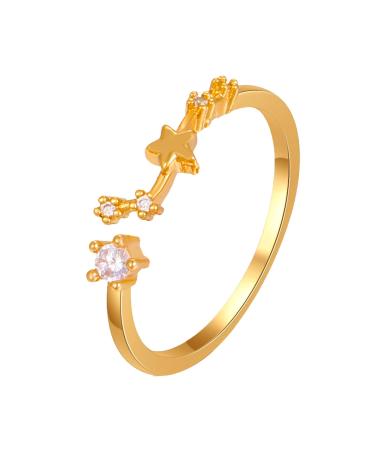 Subeline sign 12 constellation ring adjustable Horoscop collection birthday ring gift for women teen girls rings 16 (g one size)