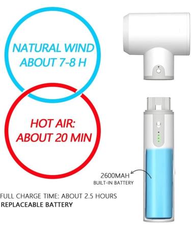 Rechargeable Hair Dryers Portable Cordless Hair Dryer Cold/Warm/Hot Air Detachable Handle Battery Convenient - Buy Online on GoSupps.com