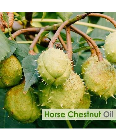 Horse Chestnut Oil Pure and Natural Oil | Firm Skin Skin Hydration Skin Toning Cosmetic Grade Hair Care and DIY Purpose - 30 ML Horse Chest Nut Oil 30 ml (Pack of 1) - Buy Online on GoSupps.com
