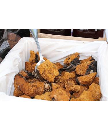 chaga chunck 454g Canadian Wild - Chaga sauvage en morceau 454kg - Buy Online on GoSupps.com