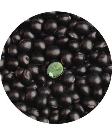 Glorious Inheriting Retail Black Beans with Green Kernel General Size with Mesh Bag of 500 grams