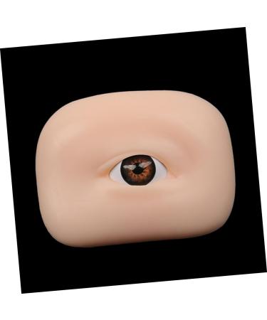 Beavorty 10 Pcs Eye Practice Skin Eyeshadow Eyebrows Skin Pad Eyebrow Makeup Board Semi-permanent Props 1 count (Pack of 1) As Shownx5pcs - Buy Online on GoSupps.com