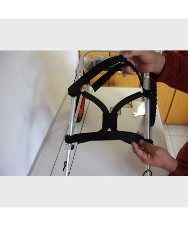 Large Dog Wheelchair for Back Legs Adjustable Pet Wheelchair Sturdy Dog Cart Wheels Back Leg Support Soft Comfortable for Dog XLarge B - Buy Online on GoSupps.com