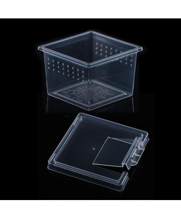 10 Pcs Small Acrylic Insect Spider Terrariums Breeding Box - Ideal for Small Reptiles, Scorpions, and Centipedes - Buy Online on GoSupps.com