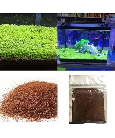Haloppe 500 Aquarium Plant Seeds - Perfect for Home Garden & Aquatic Decor | 1000stk Water Grass Decoration - Buy Online on GoSupps.com