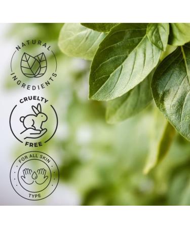 Basil Essential Oil 32 fl oz (946 ml) Aluminum Bottle w/Plug Cap 100% Pure Essential Oil GreenHealth - Buy Online on GoSupps.com