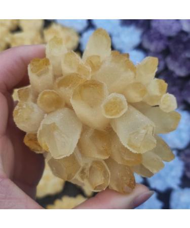 Specimen 1pcs300-700g Big Size Natural Citrine Quartz Geode Druzy Crystal ClusterSpecimen Home DecorationStone Full of Texture (Size : 400-500g) - Buy Online on GoSupps.com