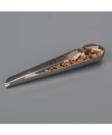 S-TROUBLE Bird Pointed Seed Dispenser | Stainless Steel Parrot Feeder for Easy Feeding | International Shipping Available - Buy Online on GoSupps.com