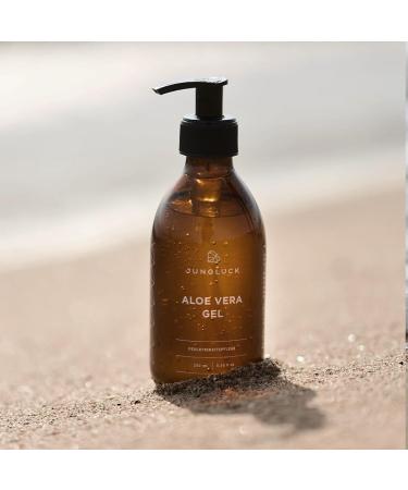 JUNGL CK Aloe Vera Gel - Cool Soothe & Moisturize Your Skin | International Shipping Available - Buy Online on GoSupps.com