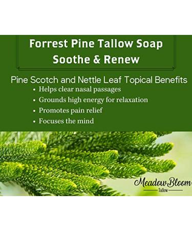 Hunter Cattle Co. Est'd 2004 HC Meadow Bloom Tallow Bar Soap - Forrest Pine 2 Pack | 100% Grass Fed Tallow Handmade Soap for Face and Body - Buy Online on GoSupps.com