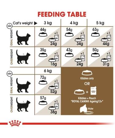 ROYAL CANIN Sterilised Ageing 12+ | Pack of 3 | 3 x 400 g | Complete Food for Cats | Specially designed for Cats - Buy Online on GoSupps.com