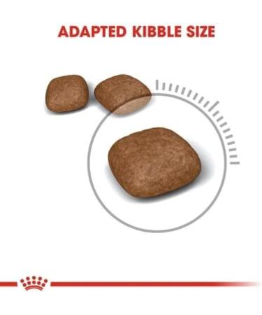 ROYAL CANIN Urinary Care Cat Food 2 kg Variety 2 kg (Pack of 1) - Buy Online on GoSupps.com