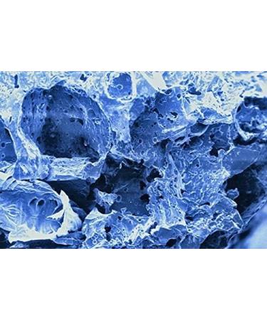 SERA SIBORAX Aquarium Filter Material 1000 ml - Organic Biological Filter Medium for Aquariums (Pack of 2) | Maximum Filtration Efficiency - Buy Online on GoSupps.com