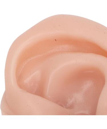 Display Ear Model Reusable Simulated Silicone Practice Ear Model Portable Elastic for Jewelry Store for Beginner(Right) - Buy Online on GoSupps.com